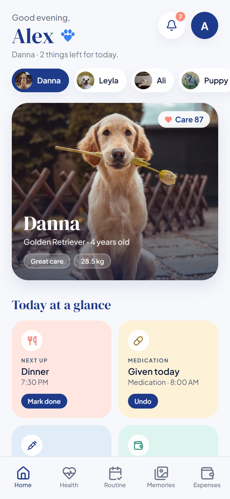 Pawen home screen showing Danna's day